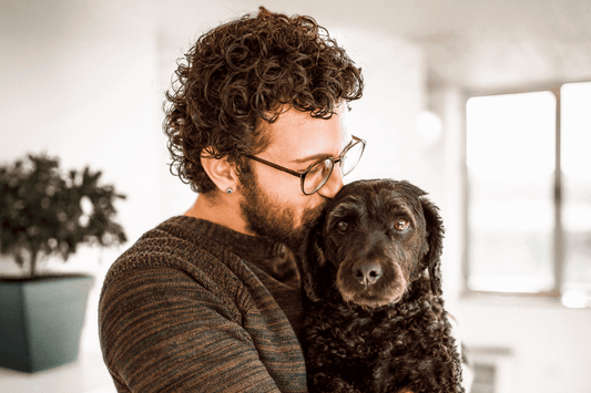 Ear Infections in Dogs – Why Nutrition Plays a Key Role