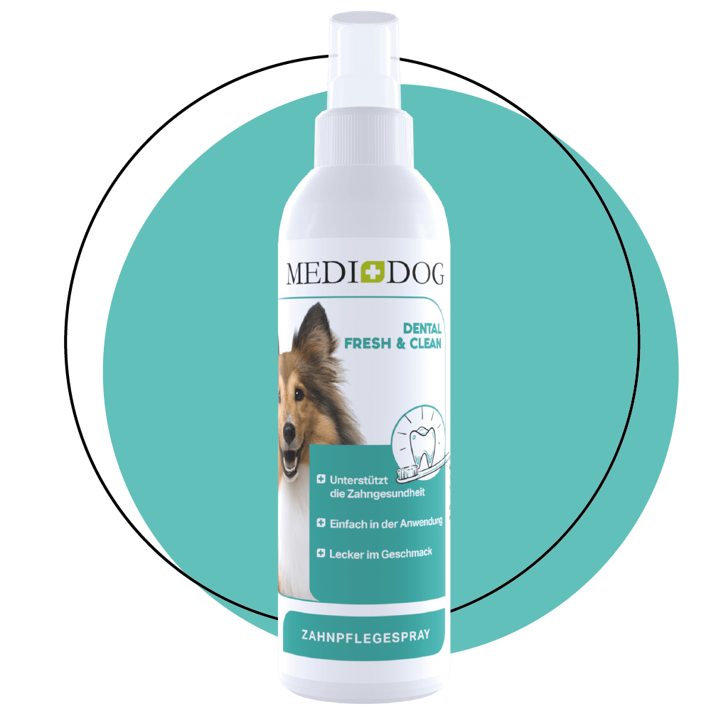 Medidog Dental Fresh & Clean 250ml