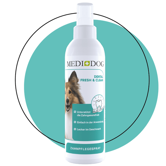 Medidog Dental Fresh & Clean 250ml