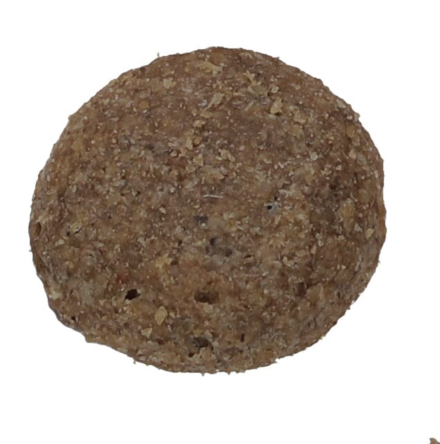 Salmon Kibble