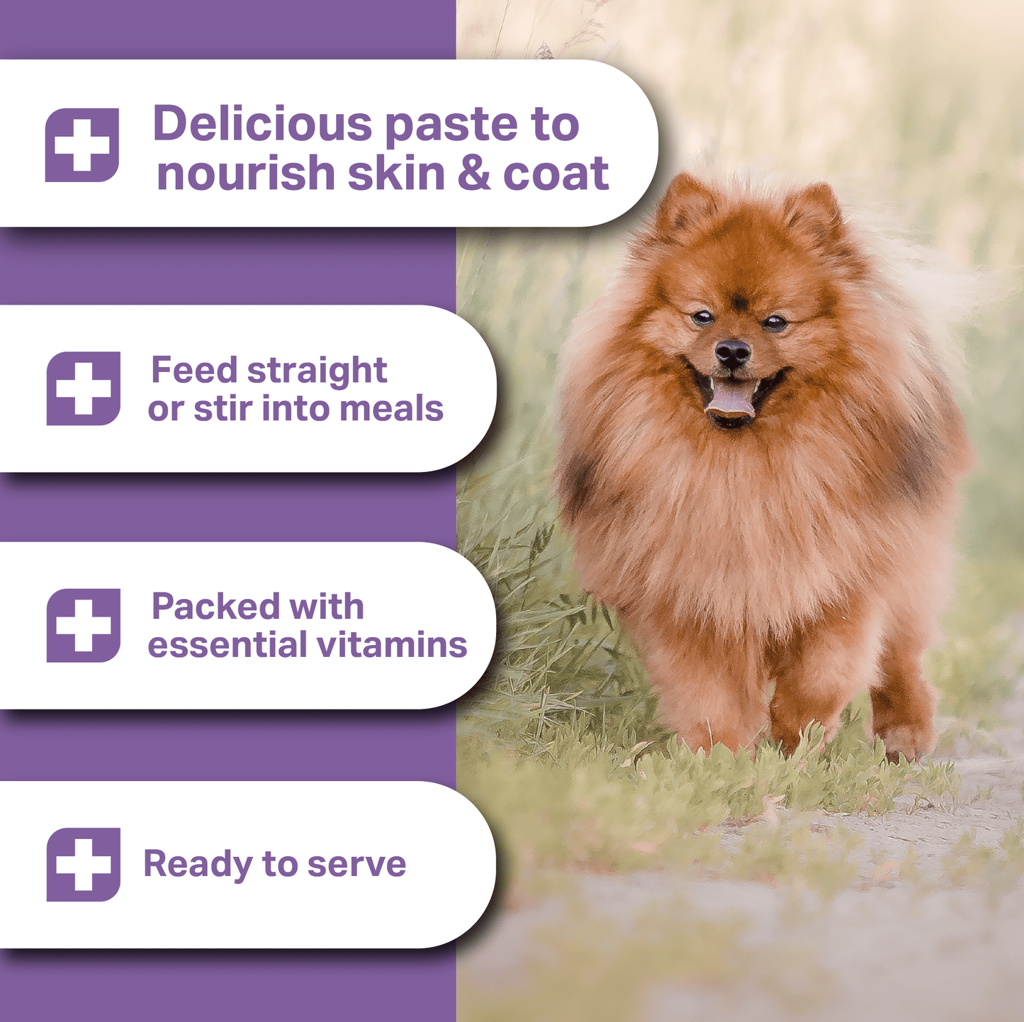 Dog standing outdoors with promotional text about a delicious paste for skin and coat care for MediDog skin and coat