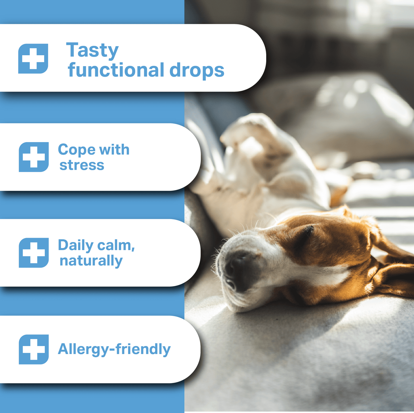 Dog lying down with text about tasty functional drops for stress, calm, and allergy relief for MediDog Calming Treats
