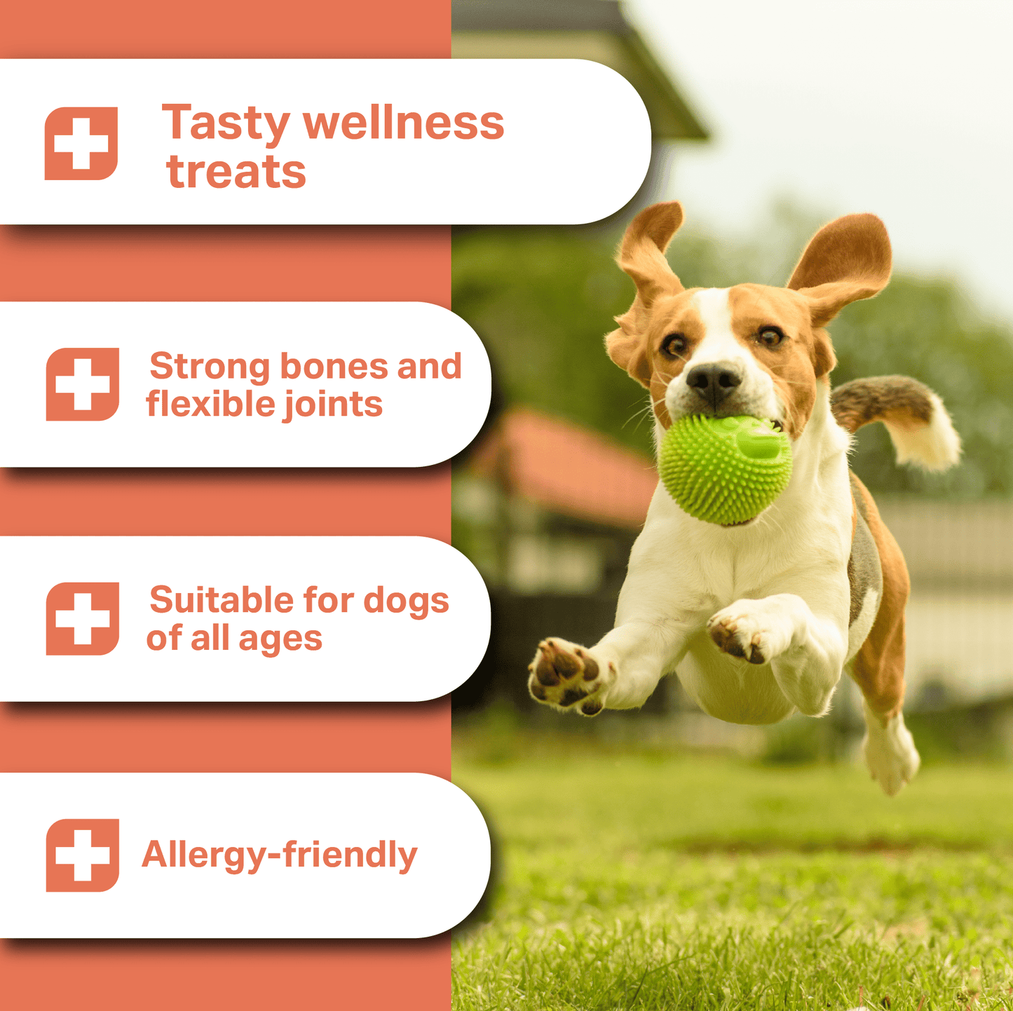 Dog running with a green ball, featuring wellness Joint Treats benefits on an orange and white background.