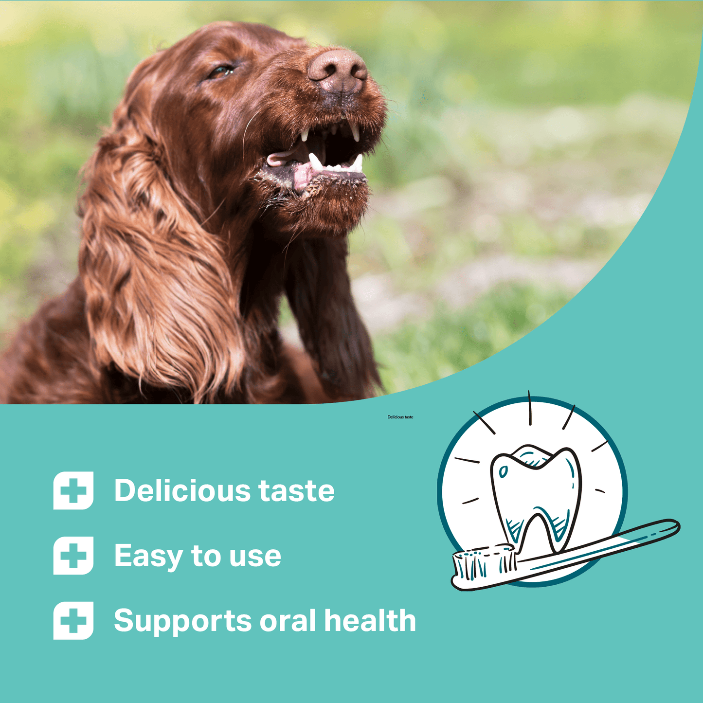 Dog with open mouth, green background with dental care product features.