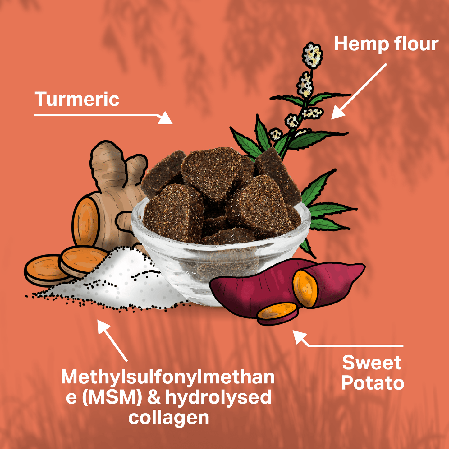 Illustration of ingredients including turmeric, hemp flour, sweet potato, MSM, and hydrolysed collagen on an orange background for Medidog Joint Treats