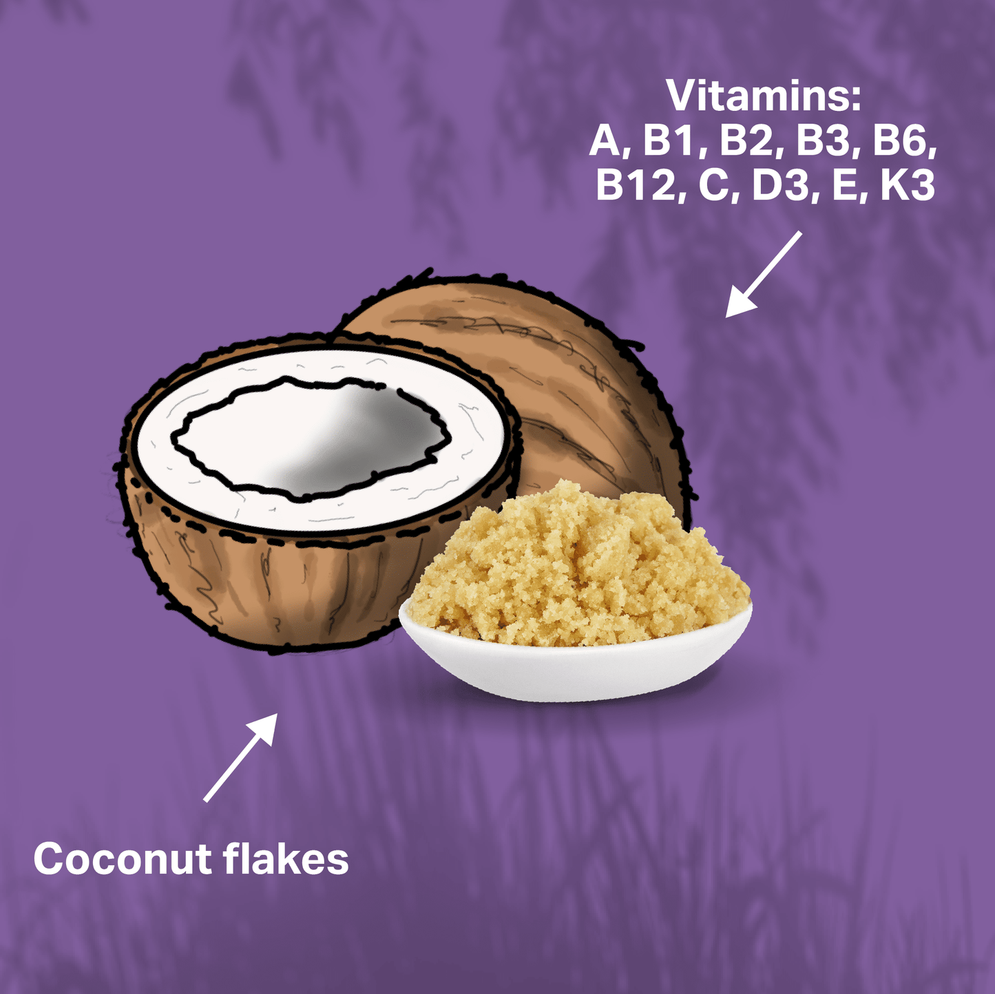 Coconut and coconut flakes with vitamins listed on a purple background for MediDog skin and coat