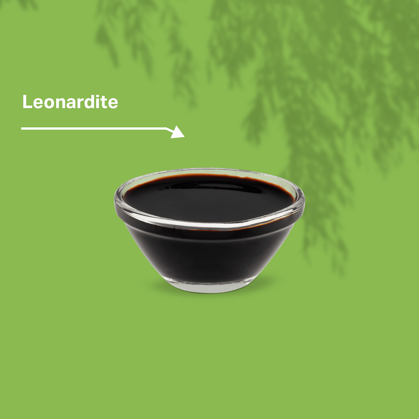 Elm Bark Paste