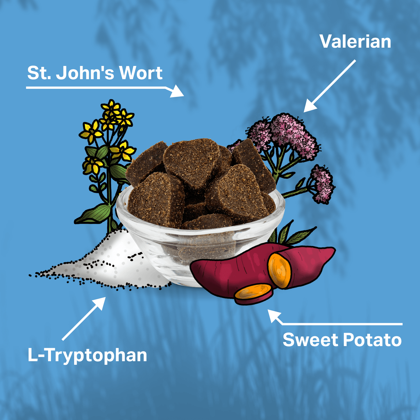 Illustration of a bowl of treats with labeled ingredients including St. John's Wort, Valerian, L-Tryptophan, and Sweet Potato on a blue background for MediDog Calming Treats