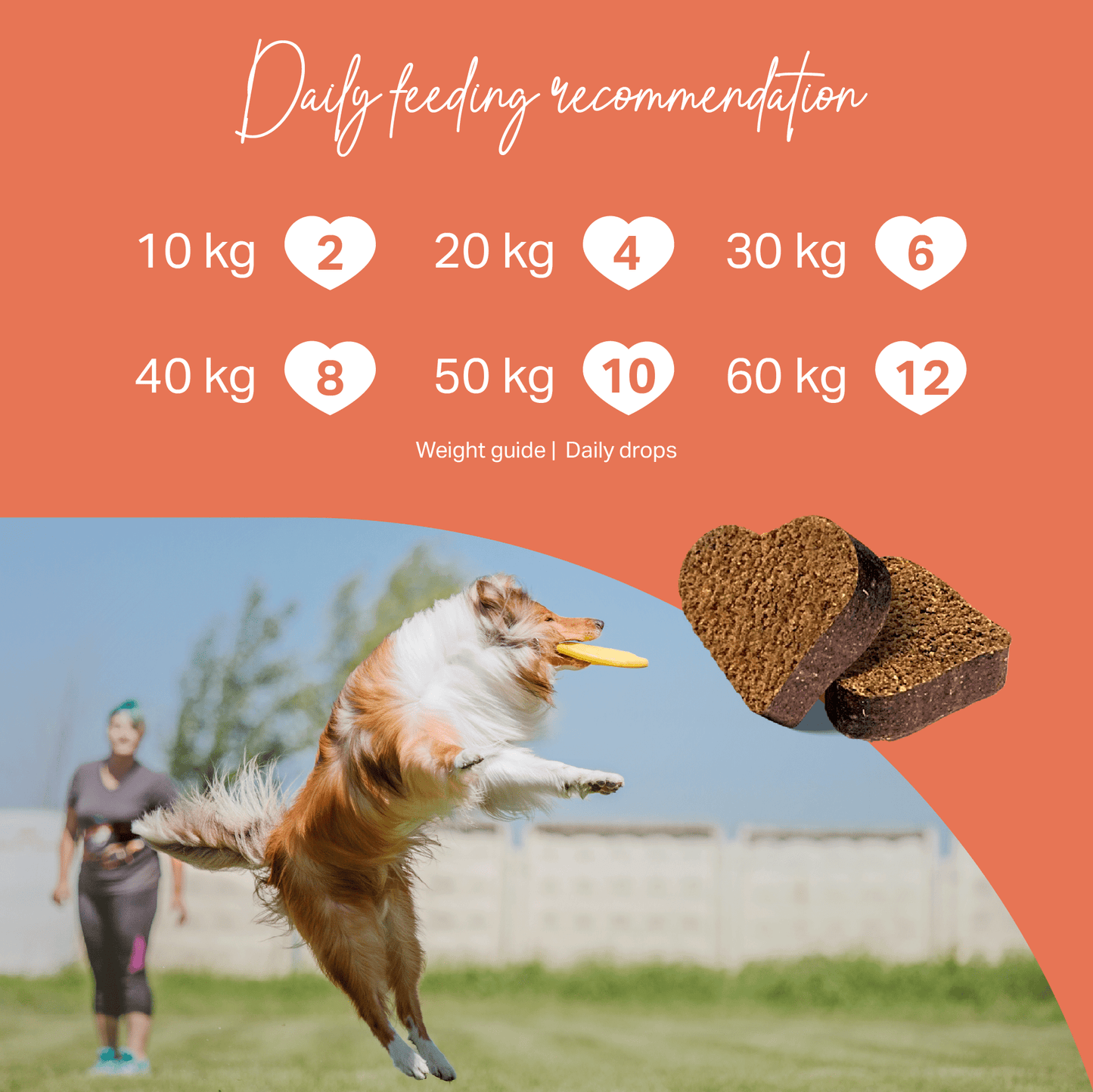 Medidog Joint Treats Feeding Guide