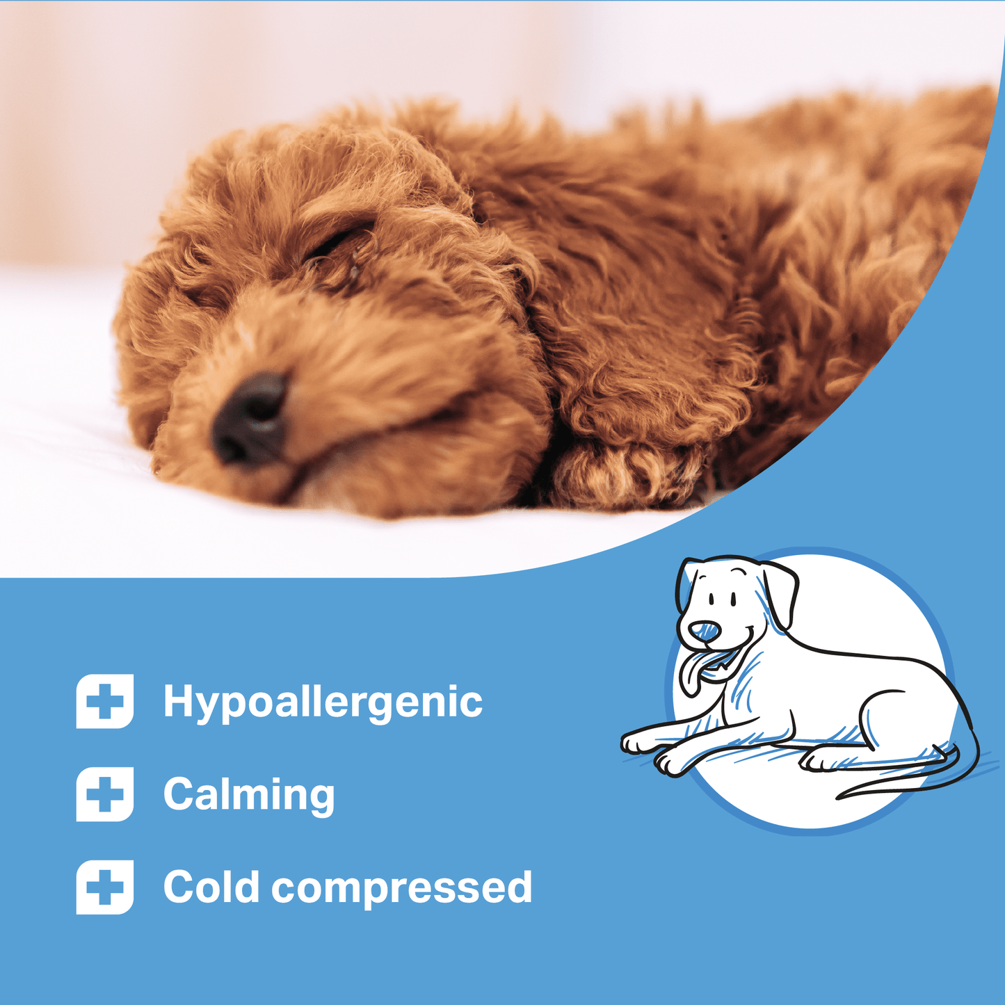 Sleeping brown dog with a blue background and text about product features for MediDog Calming Treats
