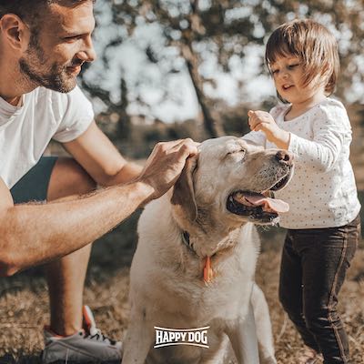 How to effectively manage your dog's weight