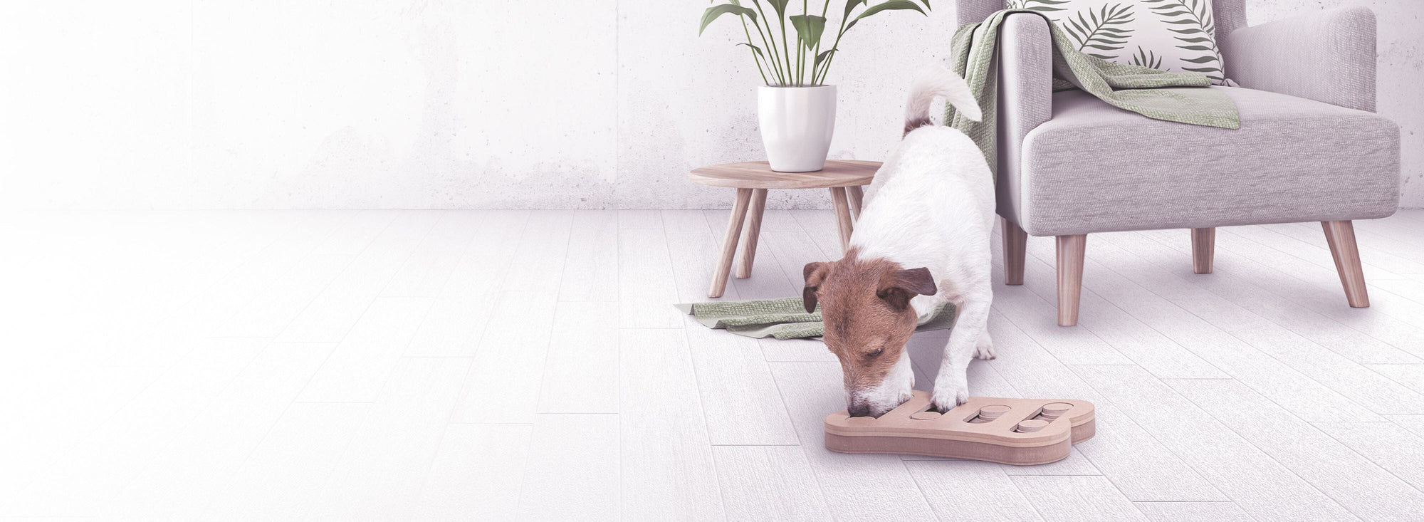 The best indoor games for dogs
