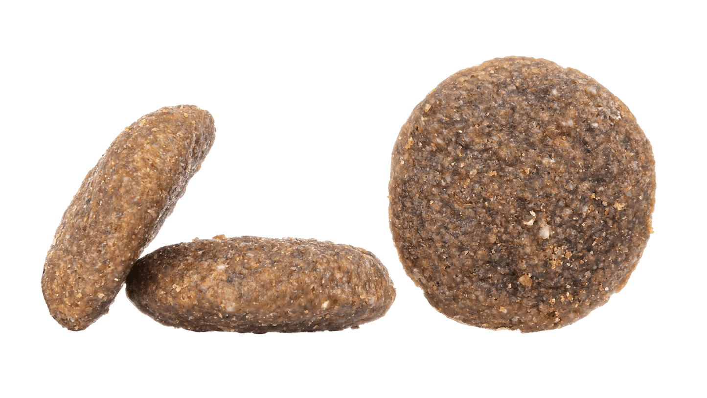 Montana Kibble