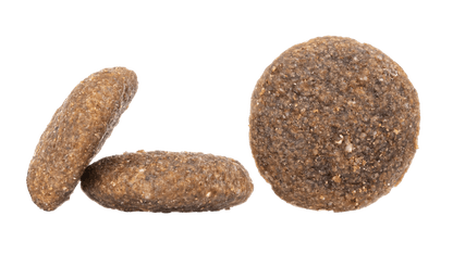 Montana Kibble