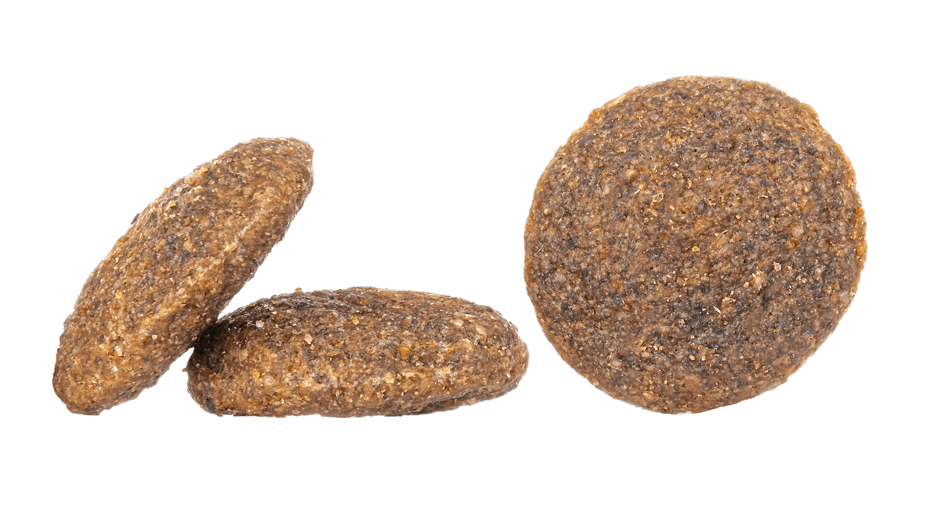 France Kibble