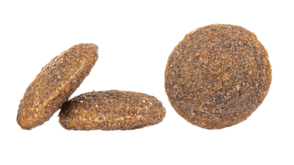 France Kibble