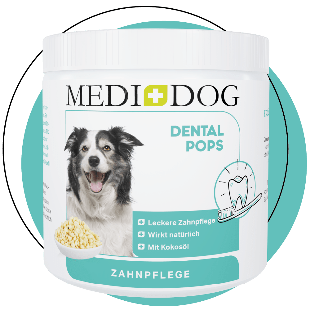Medidog Dental Pops 250g