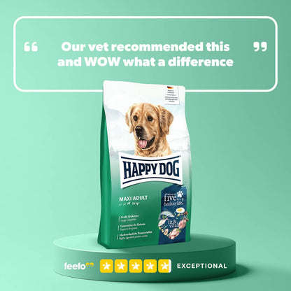 Review of Maxi adult