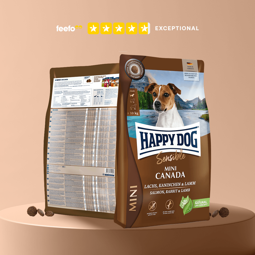 Mini Canada - Sensitive Dog