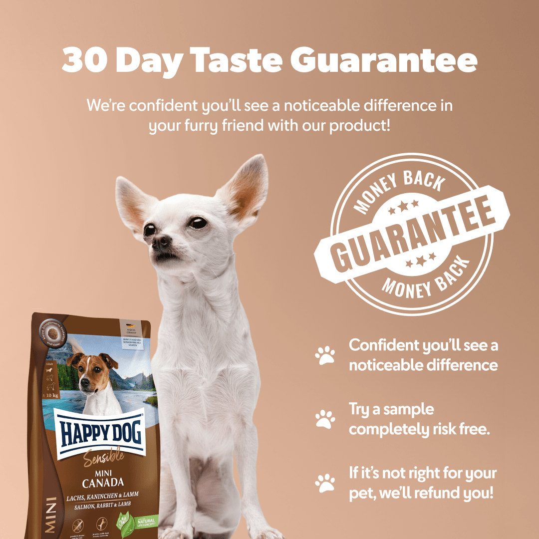 Mini Canada - Sensitive Dog