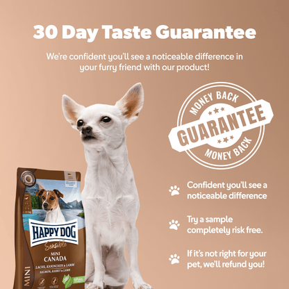 Mini Canada - Sensitive Dog