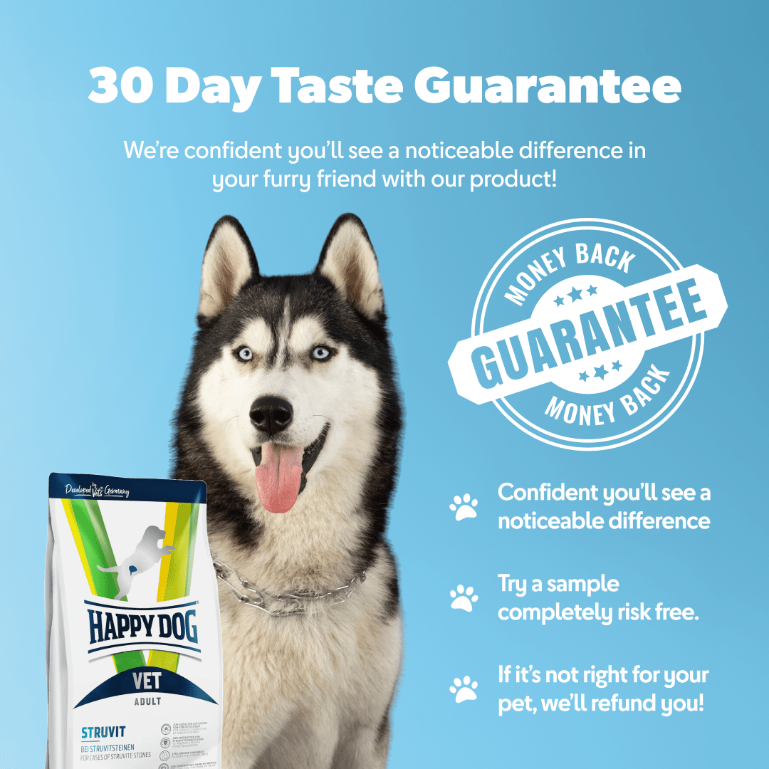 Dog with a 'Happy Dog' pet food package on a blue background with text about a 30-day taste guarantee.