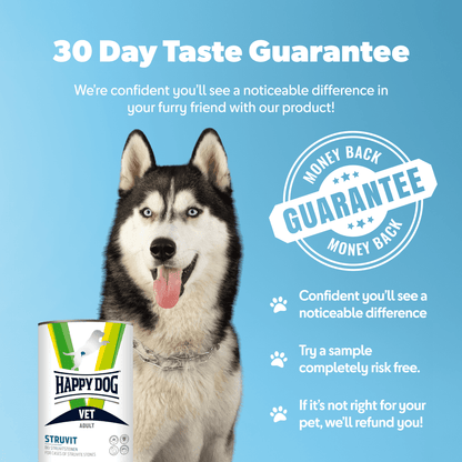 Dog with a 'Happy Dog Vet' product packaging on a blue background with text about a 30-day taste guarantee.