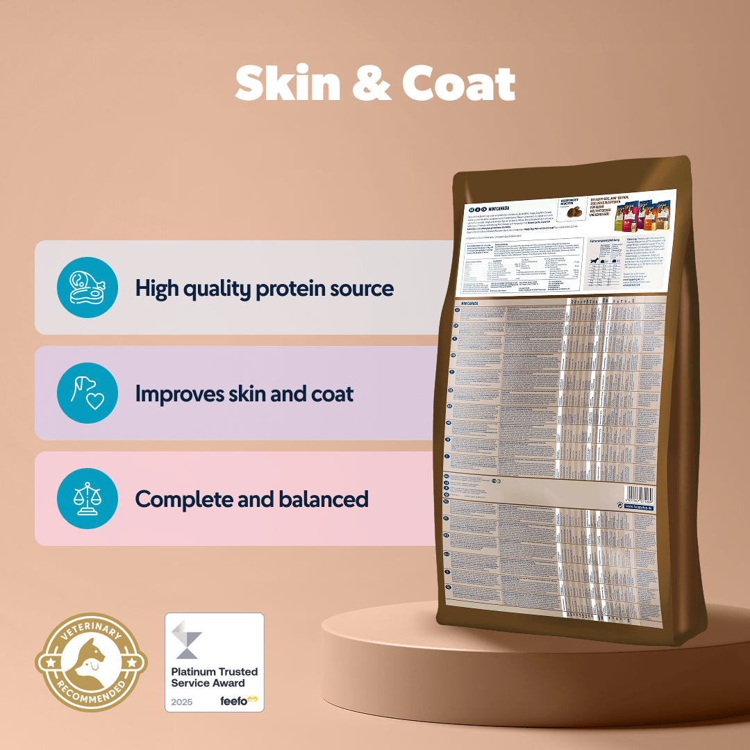 Mini Canada - Sensitive Dog