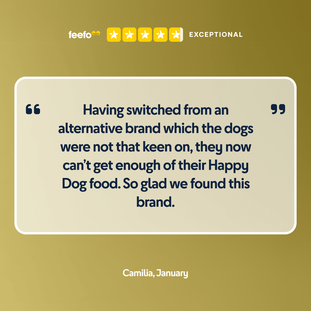 5 star review or Light