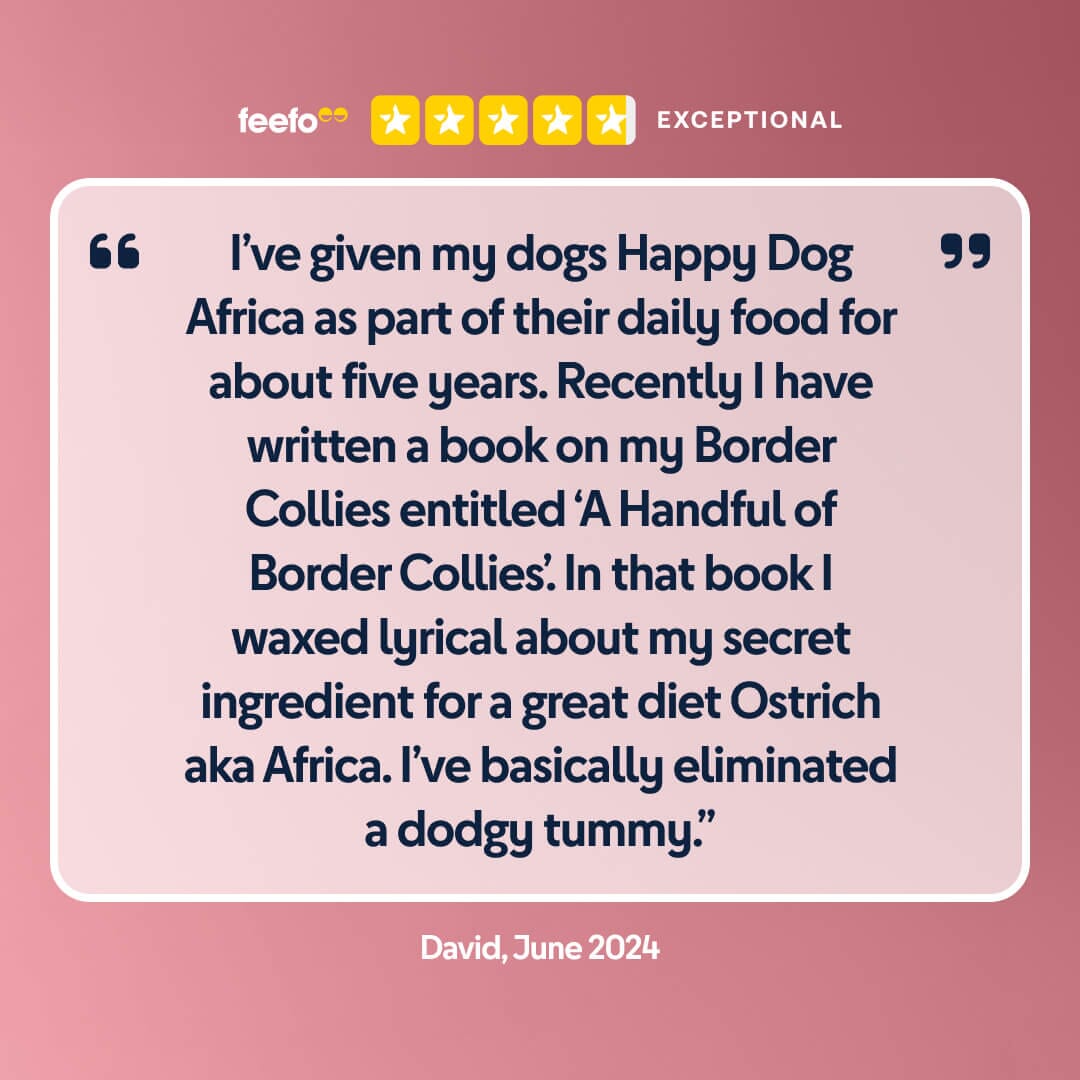 5 Star review of Africa