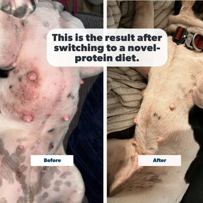 Kangaroo - Novel Protein Trial Pack
