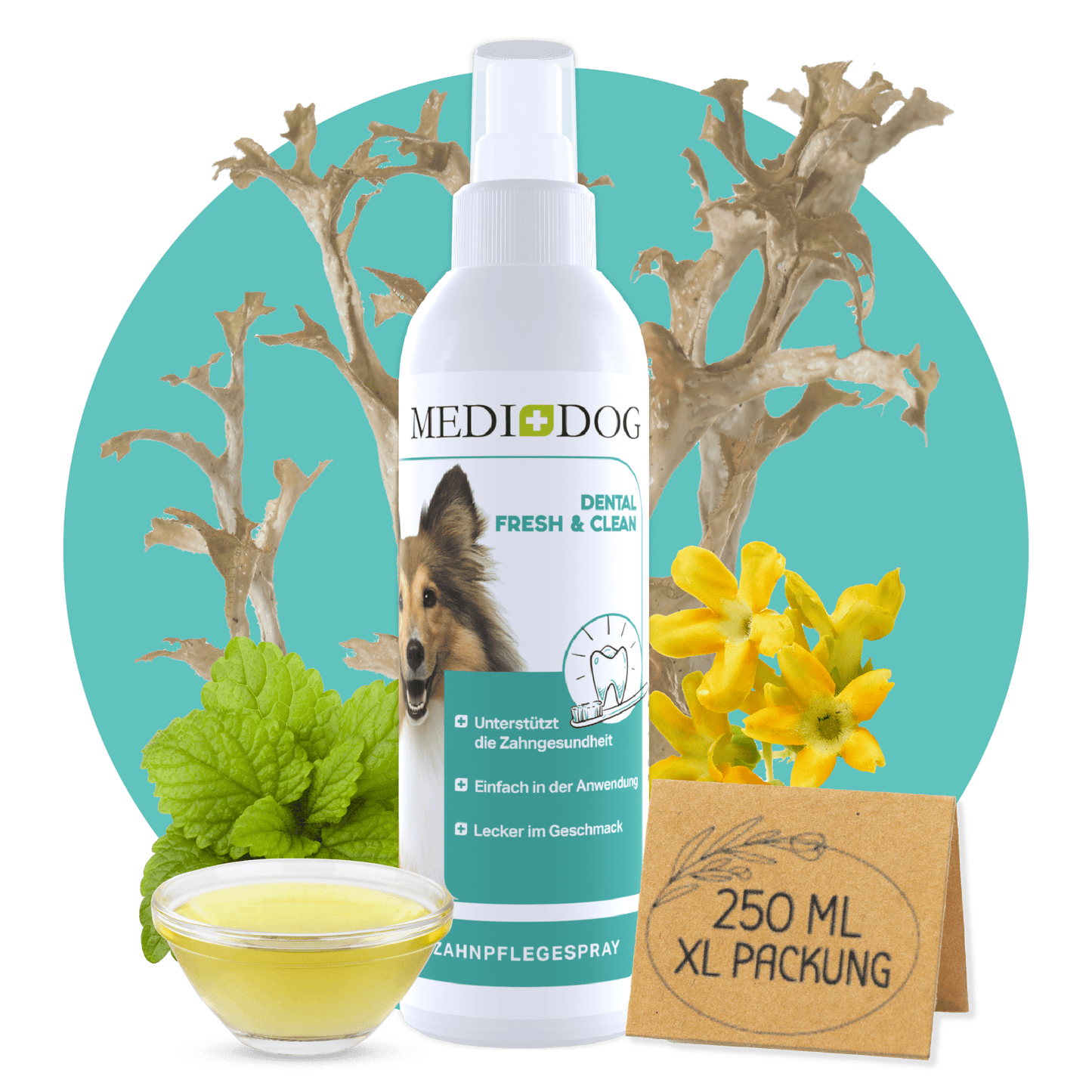 MediDog dental spray for dogs with a small bowl of yellow liquid and green leaves on a white background.