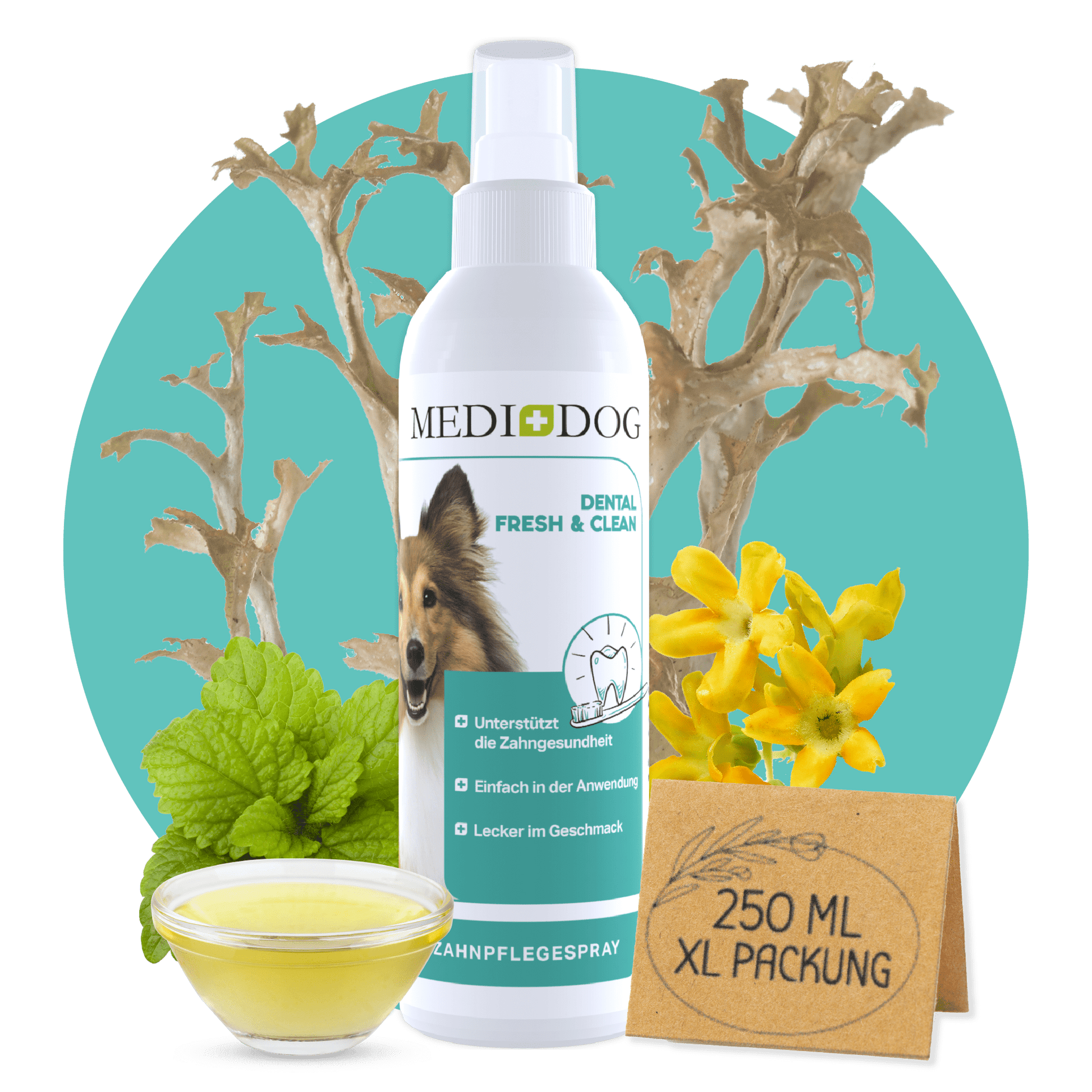 MediDog dental spray for dogs with a small bowl of yellow liquid and green leaves on a white background.