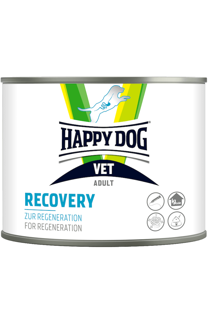 Vet Recovery Diet