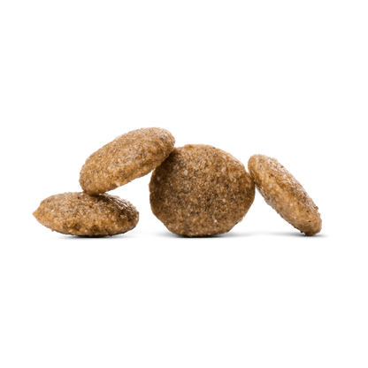 Hepatic Kibble