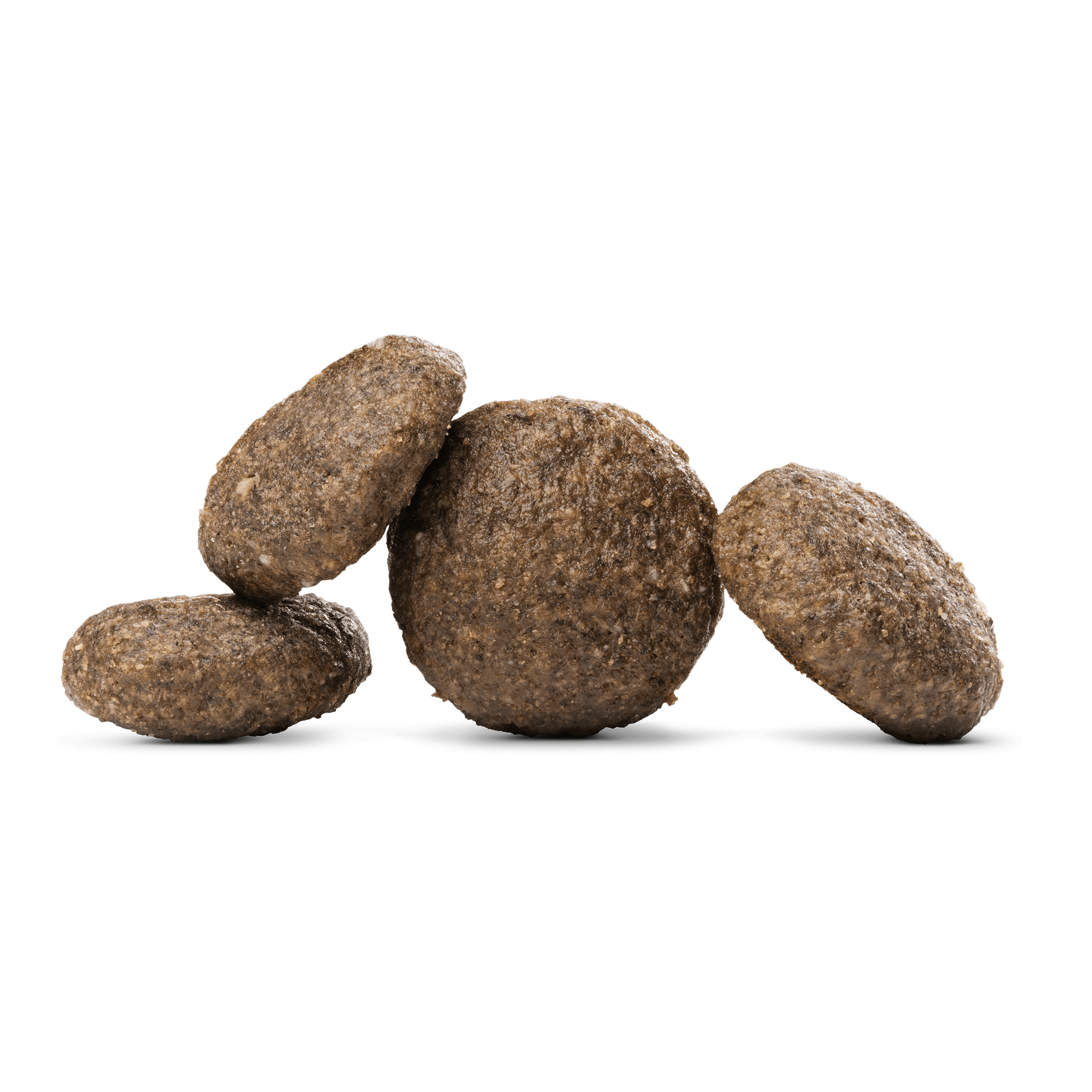Intestinal Kibble