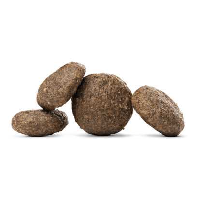 Intestinal Kibble