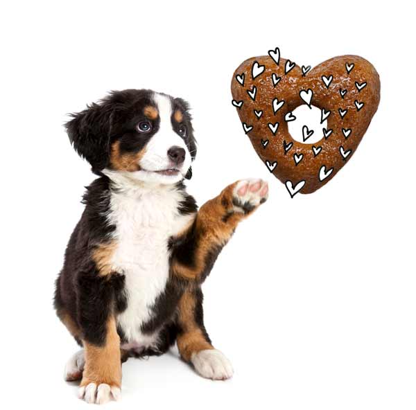 All you feed is love it s the most important ingredient in our