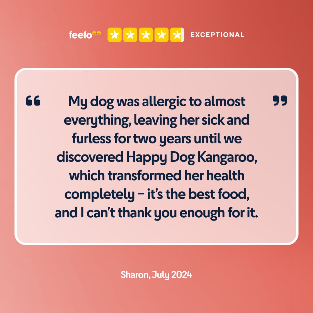 Pure Kangaroo Wet Dog Food (Australia)