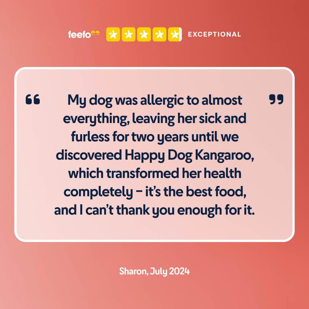 5 star review or Kangaroo