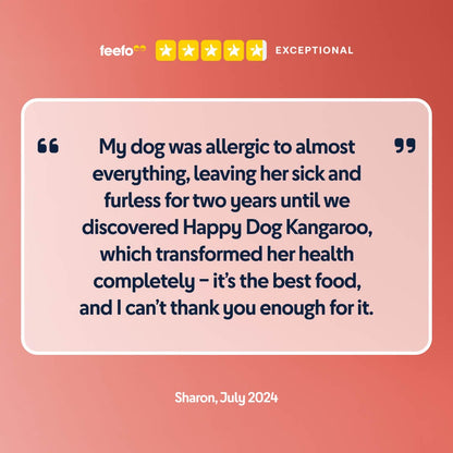 5 star review or Kangaroo