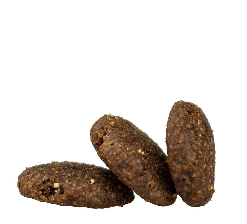 Adult Medium Kibble