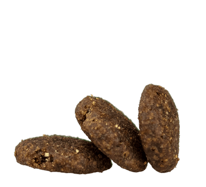 Adult Medium Kibble