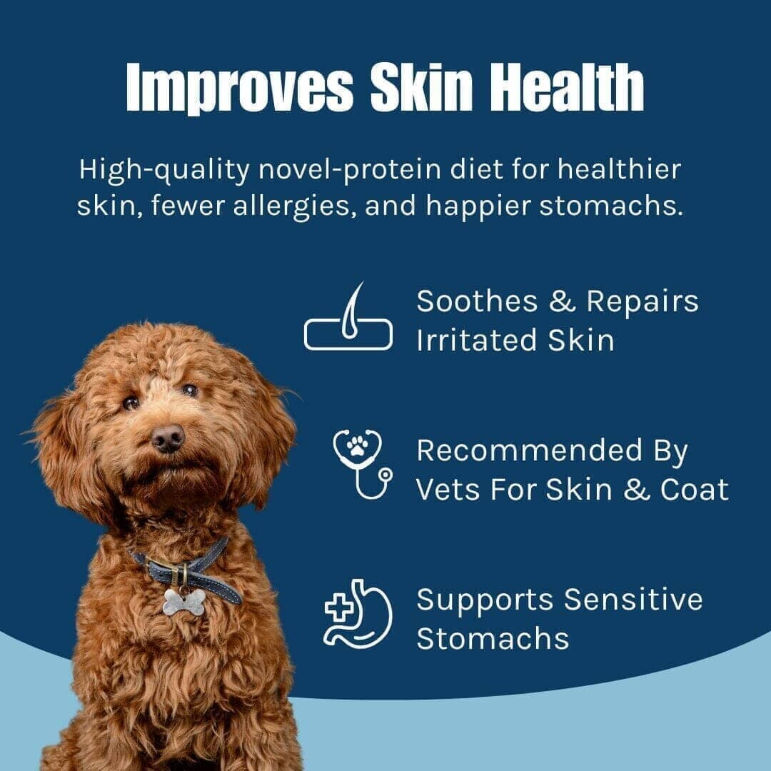 Lamb Single Protein Wet Dog Food Novel Wet Food Exclusion Diet