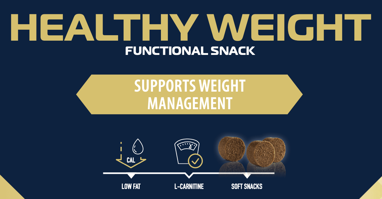 Healthy Weight Dog Treats