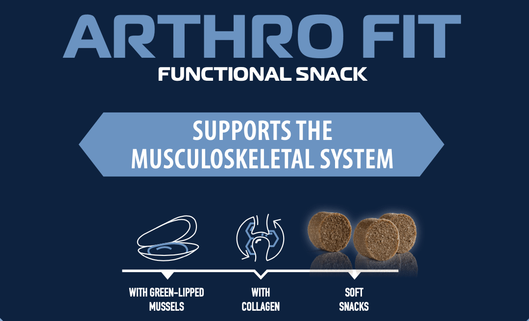 Musculoskeletal dog treats