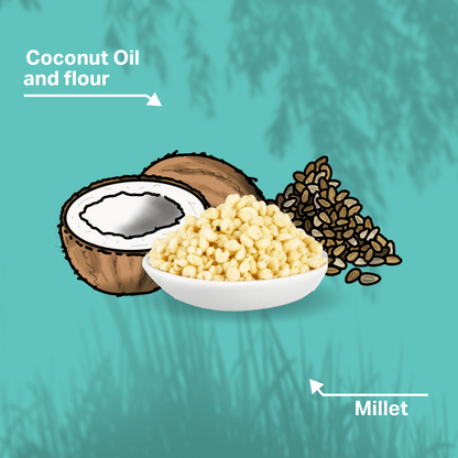 Illustration of coconut, coconut oil, flour, and millet on a teal background fro MediDog Dental Pops
