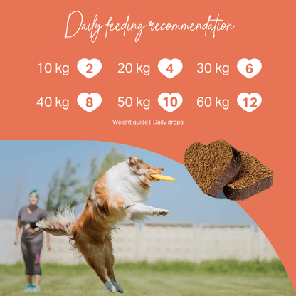 Medidog Joint Treats Feeding Guide