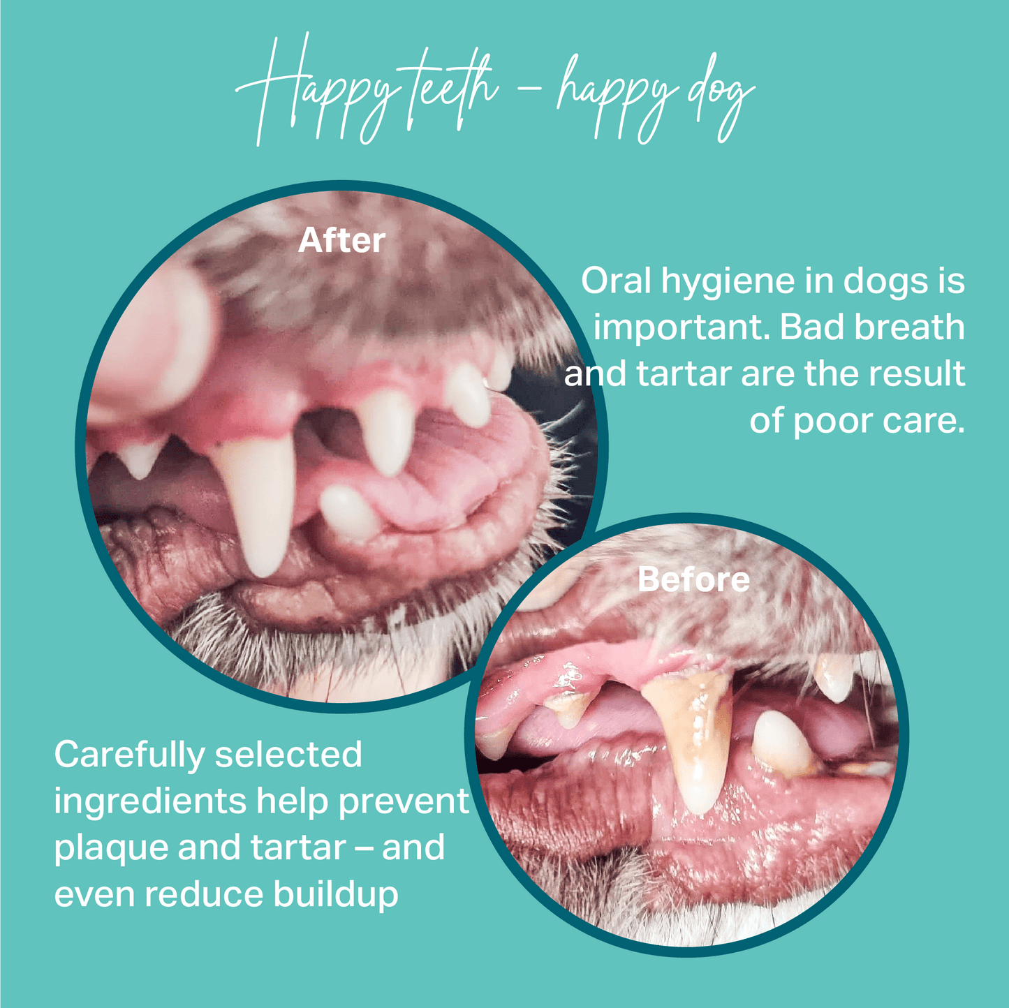 Before and after comparison of a dog's mouth with text about oral hygiene for MediDog Dental Pops